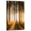 Canvas Print Sun in the Forest Light Tree 60x100 cm