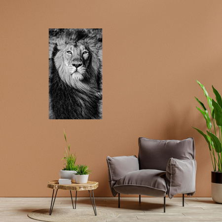 Canvas Print Grey Lion Mane Face Eyes 80x120 cm