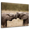 Canvas Print Elephant Meeting Africa Nature 100x80 cm