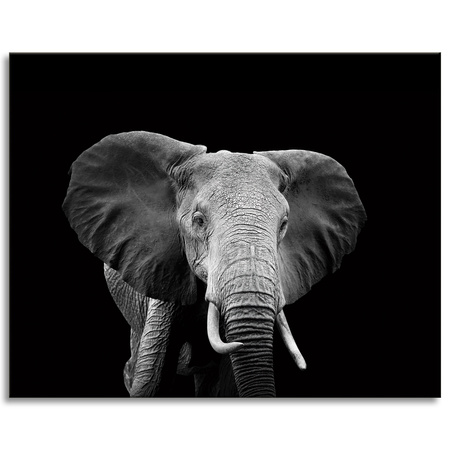 Canvas Print Gray Large Elephant on Black Background 100x80 cm