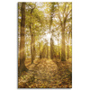 Canvas Print Sun Between Trees in the Forest 50x80 cm