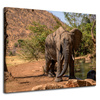 Canvas Print Elephant Africa Water Mud Sun 100x80 cm
