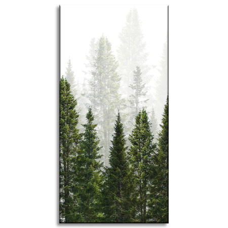 Canvas Print Rain Forest Nature Trees 60x120 cm