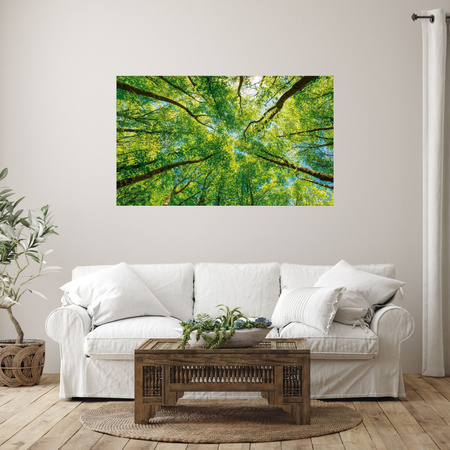 Canvas Print Trees Leaves Nature Forest Spring 50x40 cm