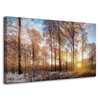 Canvas Print Trees Winter Rising Sun 100x60 cm