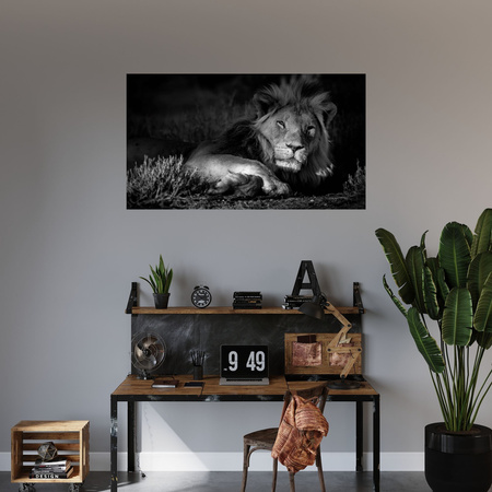Canvas Print Dark Colors Lion Calm 100x80 cm