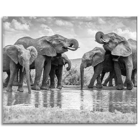 Canvas Print Elephants By The Water Gray Nature 100x80 cm