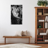 Canvas Print Grey Lion Mane Face Eyes 80x120 cm