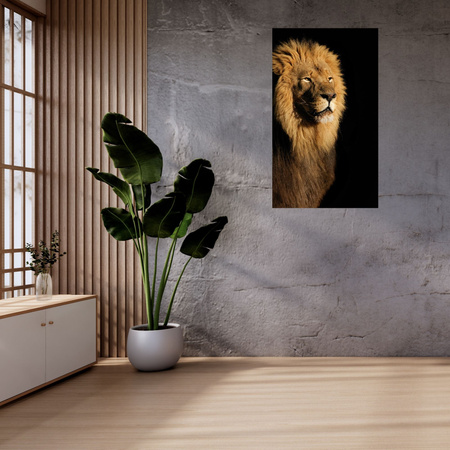 Canvas Print Illuminated Lion Beauty Mane 80x120 cm