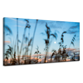Canvas Print Nature Glade Meadow Sunrise 120x60