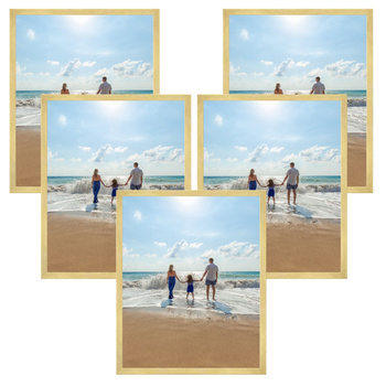 5x Gold Frame 50x70, I L13,15,045, Plexiglass