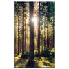 Canvas Print Forest Sun Trees Spring Morning 60x100 cm