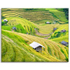 Canvas Print Nature Agricultural Terraces 100x80 cm