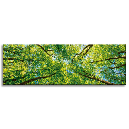 Canvas Print Trees Leaves Nature Forest Spring 120x40 cm