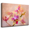 Canvas Print Botany Orchid 40x30 cm