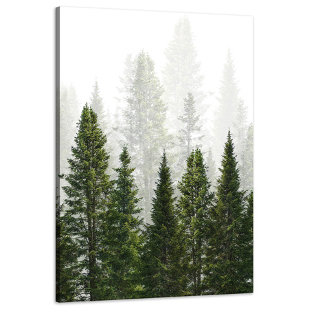 Canvas Print Rain Forest Nature Trees 60x90 cm