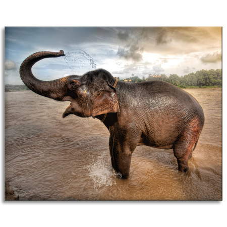 Canvas Print Elephant Water Clouds Nature Bath 100x80 cm