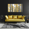 Canvas Print Birches Yellow Leaves Nature Spring 120x80 cm