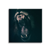 Canvas Print Animals Lion's Mouth 40x40 cm