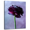 Canvas Print Botanical Purple Flower 30x40 cm