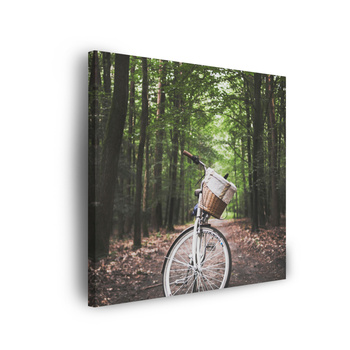 Canvas Print Youth Bike in the Forest 90x90