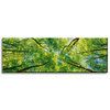 Canvas Print Trees Leaves Nature Forest Spring 120x40 cm