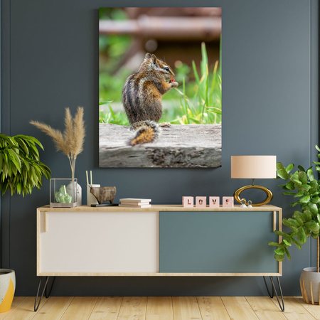 Canvas Print Animals Squirrel 30x40 cm