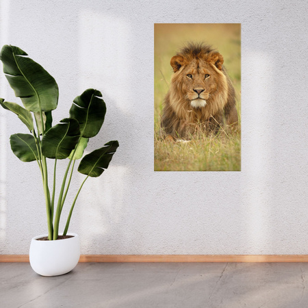 Canvas Print Lion on Grass Animal Nature 80x120 cm
