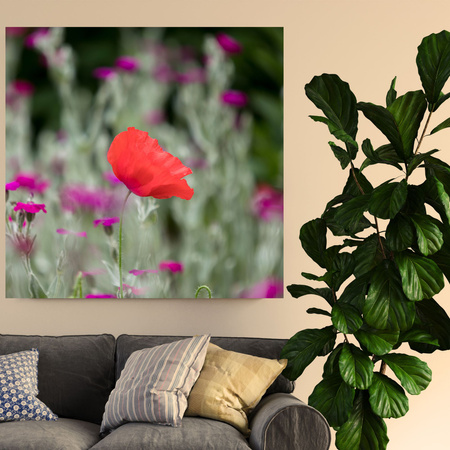 Canvas Print Botany Flower Garden 40x40 cm
