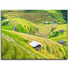 Canvas Print Nature Agricultural Terraces 40x30 cm