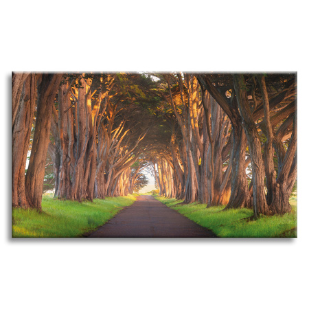 Canvas Print Path Between Trees Nature 120x80 cm