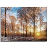 Canvas Print Trees Winter Rising Sun 40x30 cm