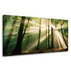 Canvas Print Sun in the Forest Trees Nature 80x40 cm
