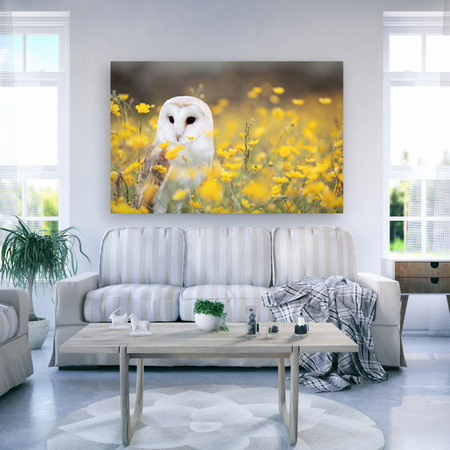 Canvas Print White Owl Flowers Nature Meadow 90x60