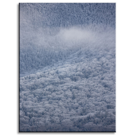 Canvas Print Nature Snowy Forest 30x40 cm