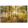 Canvas Print Sun Between Trees in the Forest 80x50 cm
