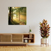 Canvas Print Sunlight Forest Path Nature 60X60 cm
