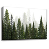 Canvas Print Rain Forest Nature Trees 60x40 cm