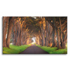 Canvas Print Path Between Trees Nature 120x80 cm