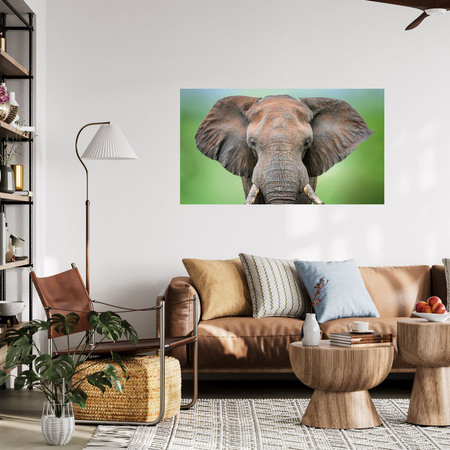 Canvas Print Elephant Face Tusks Gray Animal 100x80 cm