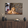 Canvas Print Animals Dog 40x30 cm