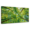 Canvas Print Trees Leaves Nature Forest Spring 120x60 cm