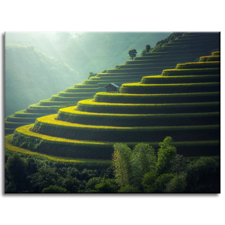 Canvas Print Nature Landscape Agriculture 40x30 cm