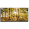Canvas Print Sun Between Trees in the Forest 80x40 cm