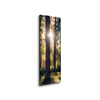 Canvas Print Forest Sun Trees Spring Morning 40x120 cm