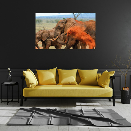 Canvas Print Elephant Pair Savannah Africa Nature 100x80 cm