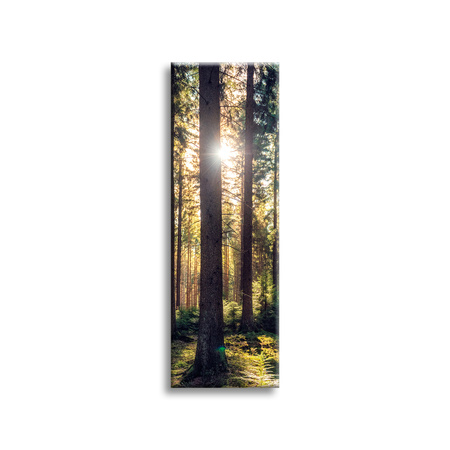 Canvas Print Forest Sun Trees Spring Morning 40x120 cm