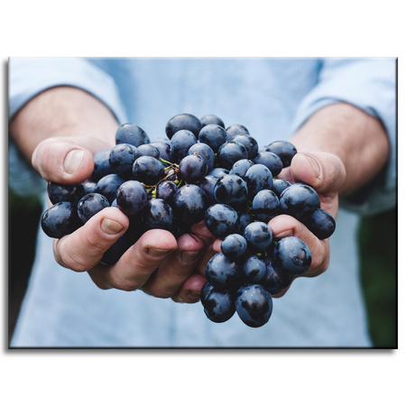 Canvas Print Kitchen Bunch of Grapes 40x30 cm