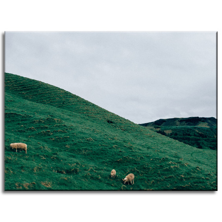 Canvas Print Nature Pasture 40x30 cm