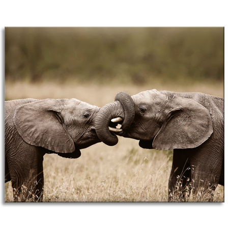Canvas Print Elephant Meeting Africa Nature 100x80 cm